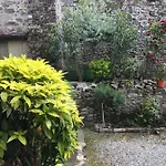 Lucca Centro Storico Con Giardino Lägenhet