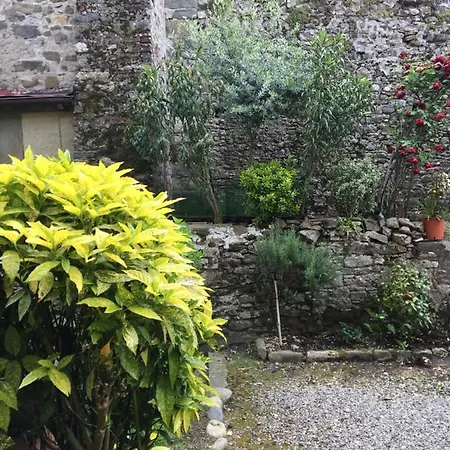 Lucca Centro Storico Con Giardino Apartment