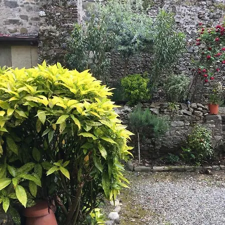 Lucca Centro Storico Con Giardino Apartment