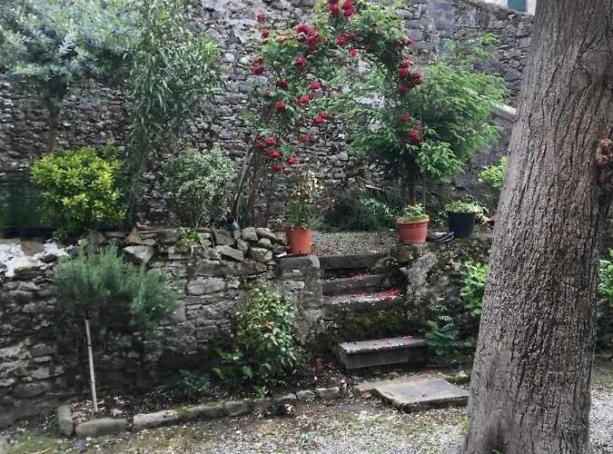 Lucca Centro Storico Con Giardino Apartament *