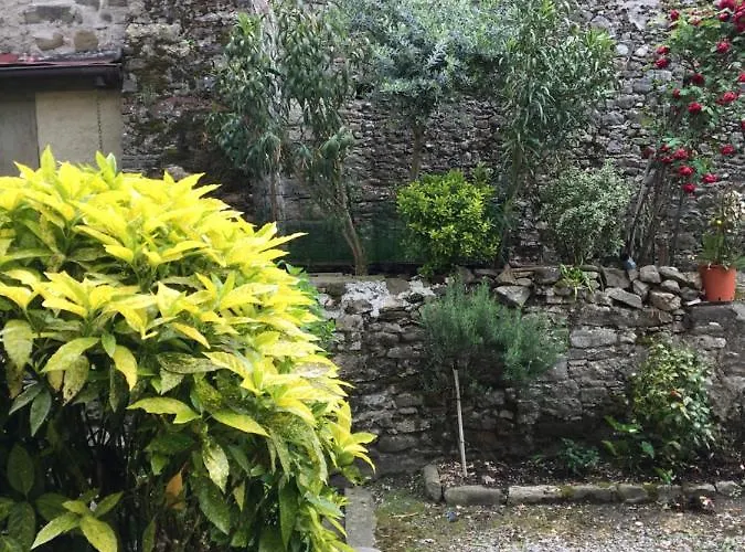 Lucca Centro Storico Con Giardino Apartament