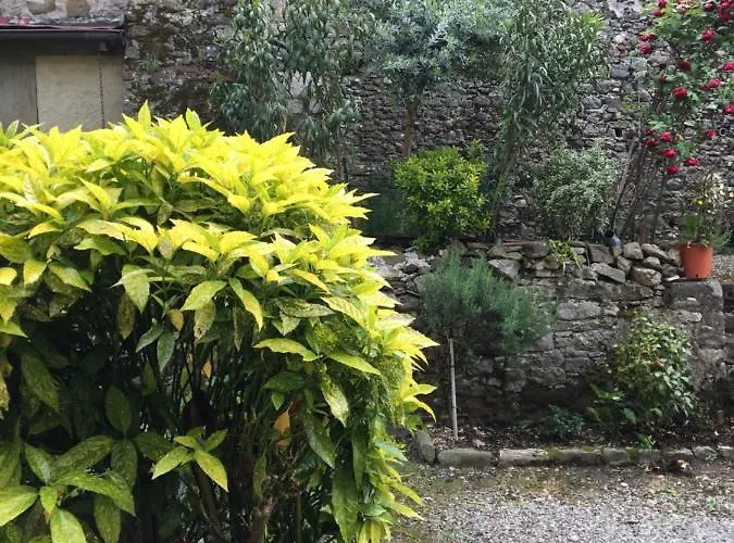 Lucca Centro Storico Con Giardino Apartament